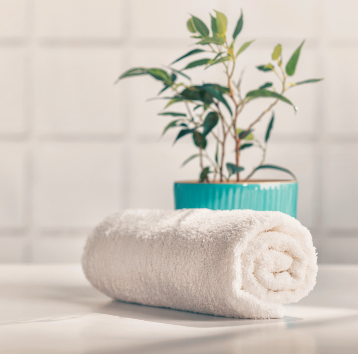 Style Upgrade Special