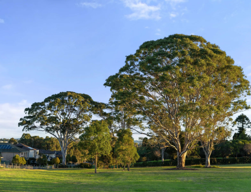 Catherine Park Estate