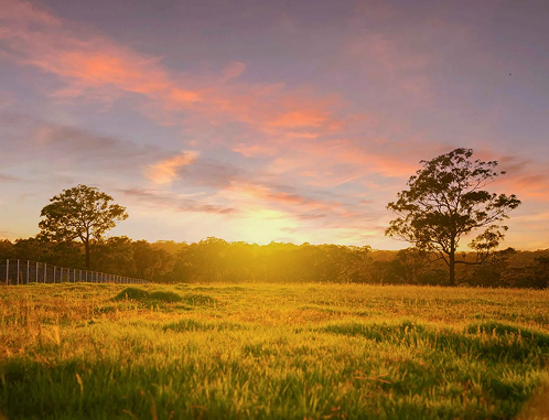 The Acres